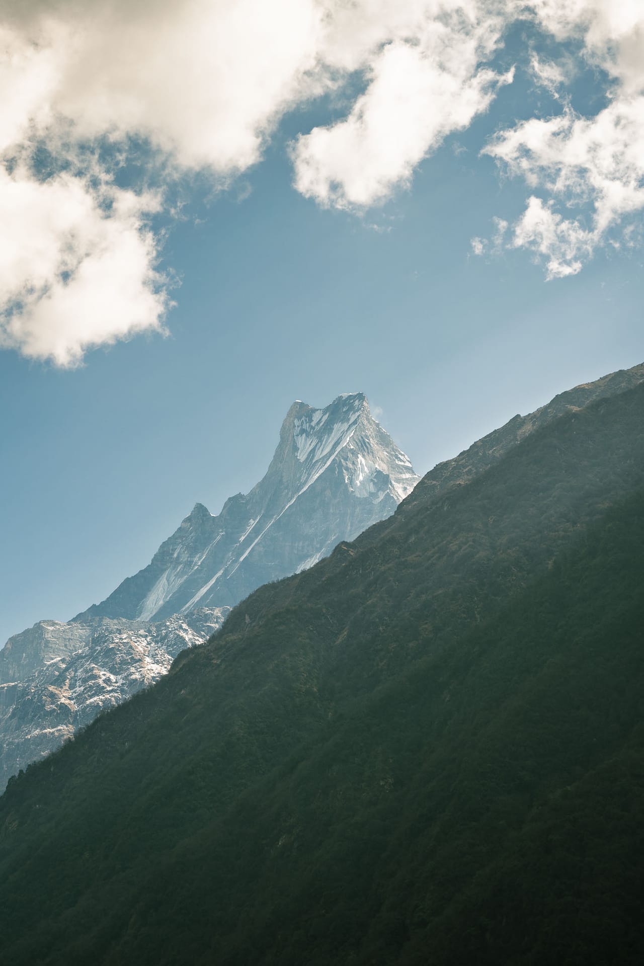 Machapuchare Portrait